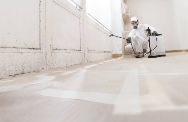 24/7 Emergency Black Mold Remediation experts in Fort Belvoir, VA