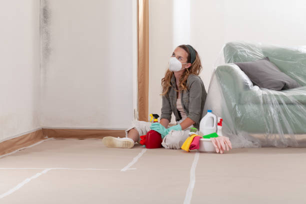Reliable Black Mold Remediation contractor in Fort Belvoir, VA by 24 Hour Mold Removal